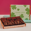 Cutter & Squidge 12 Pieces / Good Luck Gifting Sleeve Vegan Wheat-Free Mini Brownie Box