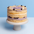 Cutter & Squidge Small (6" Diameter) Blueberry Lemon Cheesecake