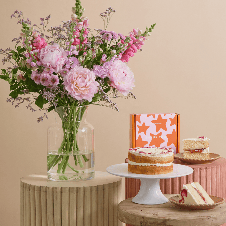 Fast Bundle Painterly Pink and Victoria Sponge Ultimate Collection