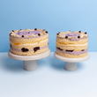 Cutter & Squidge Medium (8" Diameter) Blueberry Lemon Cheesecake