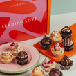Cutter & Squidge 12 Pieces / Sending Love Gifting Sleeve Mixed Mini Cupcake Box