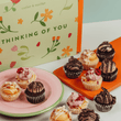 Cutter & Squidge 12 Pieces / Thinking of You Gifting Sleeve Mixed Mini Cupcake Box