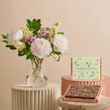 Fast Bundle Watercolour Sketch and Ultimate Fudge Brownies Gift Set