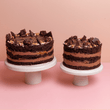 Cutter & Squidge Medium (8" Diameter) Chocolate Squidge Cake