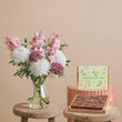 Fast Bundle Cotton Candy and Ultimate Fudge Brownies Gift Set