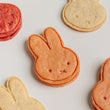 Cutter & Squidge Miffy's Biscuits