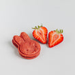 Cutter & Squidge Miffy's Biscuits