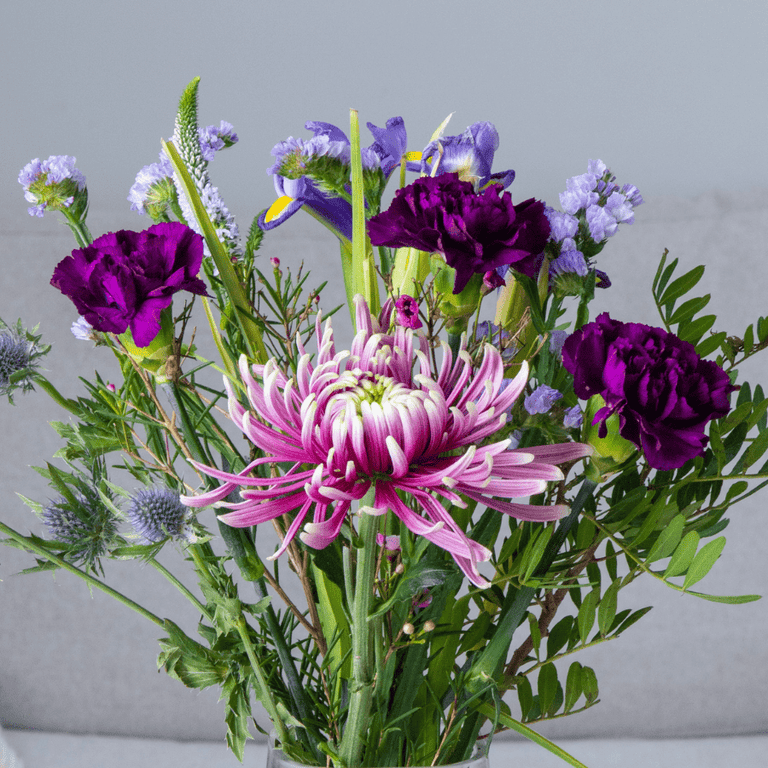 Cutter & Squidge Mulberry Bloom