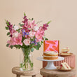 Fast Bundle Pear Drop Victoria Sponge Ultimate Collection