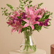 Cutter & Squidge Rhubarb Ribbons Classic Flowers