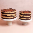 Cutter & Squidge Medium (8" Diameter) Tiramisu Naked Cake