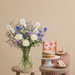Fast Bundle Classic Indigo Shores Victoria Sponge Ultimate Collection