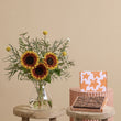 Fast Bundle Sun-soaked Hills and Ultimate Fudge Brownies Gift Set
