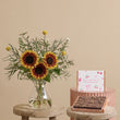 Fast Bundle Sun-soaked Hills and Ultimate Fudge Brownies Gift Set