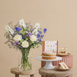 Fast Bundle Classic Indigo Shores Victoria Sponge Ultimate Collection