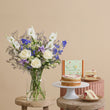 Fast Bundle Classic Indigo Shores Victoria Sponge Ultimate Collection