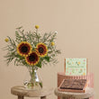 Fast Bundle Sun-soaked Hills and Ultimate Fudge Brownies Gift Set