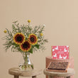 Fast Bundle Sun-soaked Hills and Ultimate Fudge Brownies Gift Set