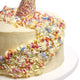 Cutter & Squidge UNICORN BIRTHDAY CAKE